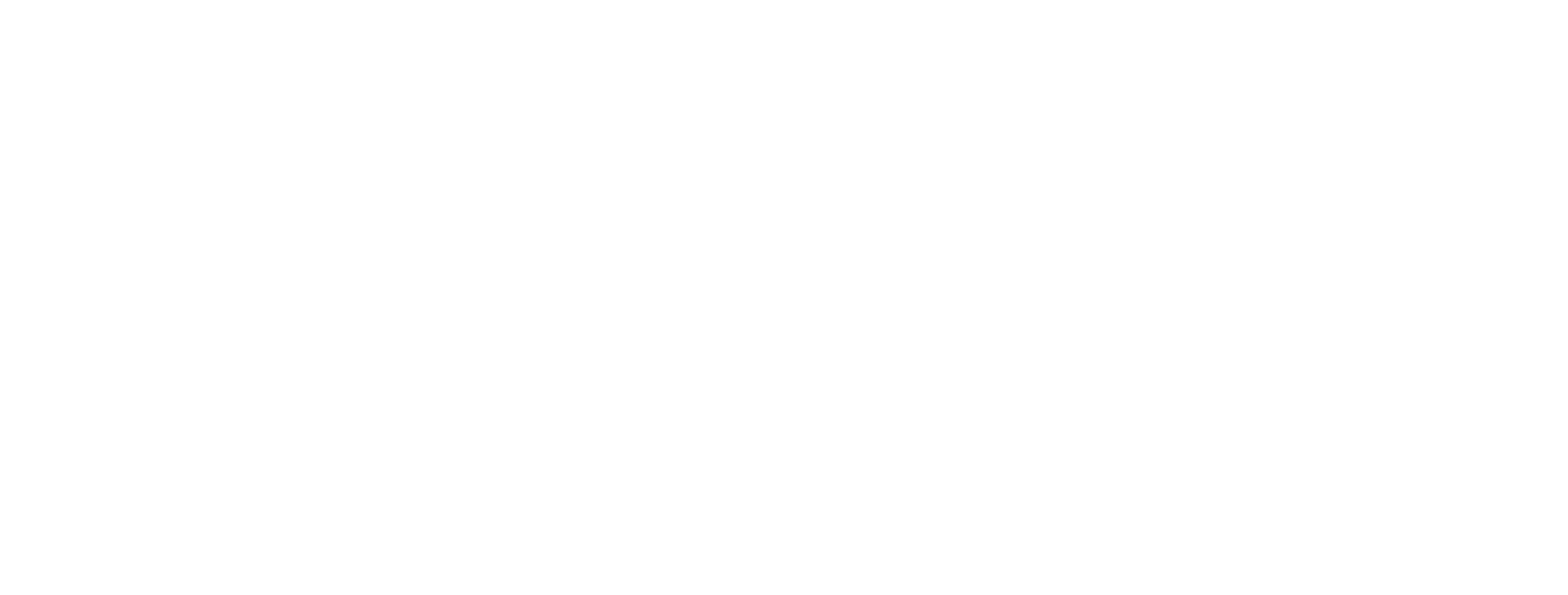 Flagship Projects
